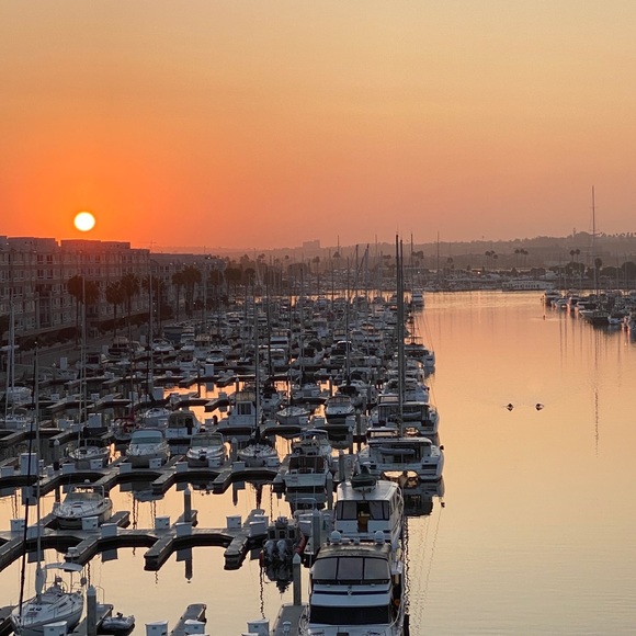 Meet your Posher, Randall - Picture 7 of 8